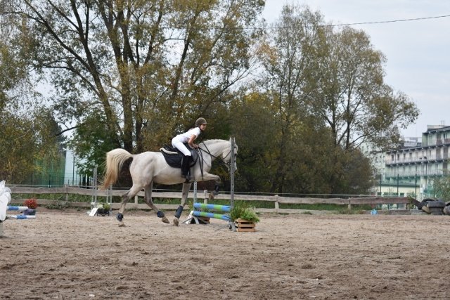 bABIE lATO 2018